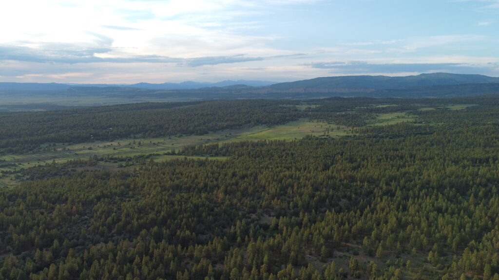 Peaceful Camping in Carson National Forest › Peter Meglis